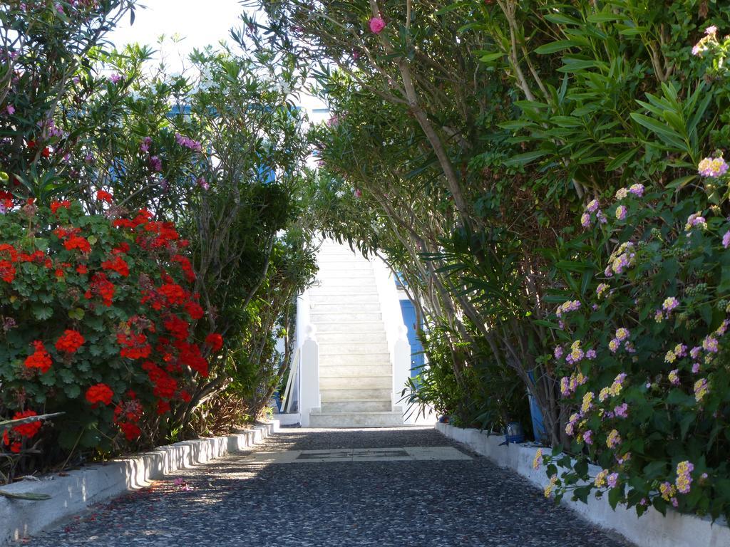 Thira'S Dolphin Aparthotel Akrotírion Buitenkant foto